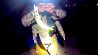 Черноморский район ловля саргана на бомбарду у берега