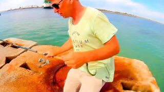 Черноморский район ловля саргана на бомбарду у берега