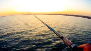 Черноморский район ловля саргана на бомбарду у берега