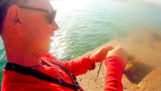 Черноморский район ловля саргана на бомбарду у берега