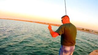 Черноморский район ловля саргана на бомбарду у берега