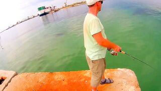 Черноморский район ловля саргана на бомбарду у берега