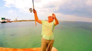 Черноморский район ловля саргана на бомбарду у берега