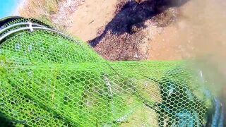 Черноморский район ловля саргана на бомбарду у берега