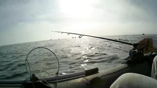 Северное Черноморского района рыбалка у моря 20.06.2020