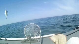 Северное Черноморского района рыбалка у моря 20.06.2020