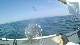 Северное Черноморского района рыбалка у моря 20.06.2020