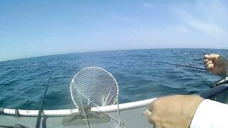 Северное Черноморского района рыбалка у моря 20.06.2020