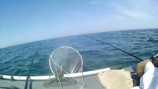 Северное Черноморского района рыбалка у моря 20.06.2020