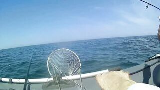 Северное Черноморского района рыбалка у моря 20.06.2020