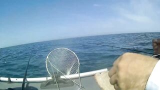 Северное Черноморского района рыбалка у моря 20.06.2020