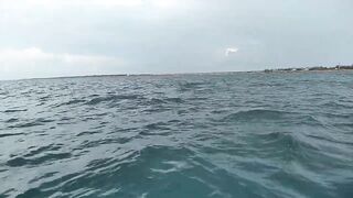 Северное Черноморского района рыбалка у моря 20.06.2020