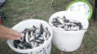 Северное Черноморского района рыбалка у моря 20.06.2020