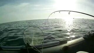 Северное Черноморского района рыбалка у моря 20.06.2020