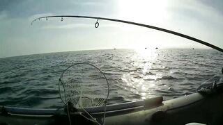 Северное Черноморского района рыбалка у моря 20.06.2020