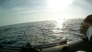 Северное Черноморского района рыбалка у моря 20.06.2020