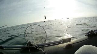 Северное Черноморского района рыбалка у моря 20.06.2020