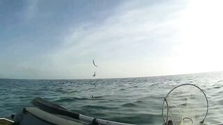 Северное Черноморского района рыбалка у моря 20.06.2020