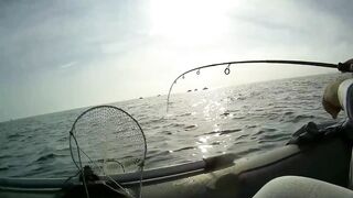 Северное Черноморского района рыбалка у моря 20.06.2020