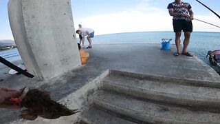 Форос жена поймала скорпену монстра это правда?