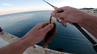 Форос жена поймала скорпену монстра это правда?