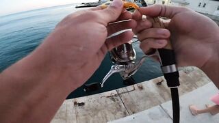 Форос жена поймала скорпену монстра это правда?