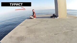 Форос пирс незнакомая рыба что за вид?