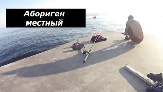 Форос пирс незнакомая рыба что за вид?