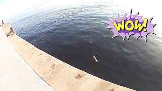 Форос пирс незнакомая рыба что за вид?