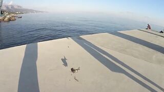 Форос пирс незнакомая рыба что за вид?