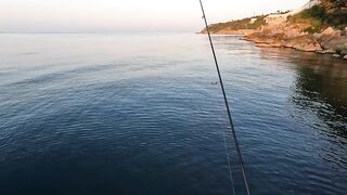 Алупка - первый трофей сезона, берег и тёплая вода