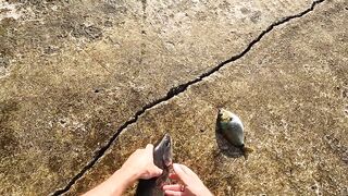 Алупка - первый трофей сезона, берег и тёплая вода