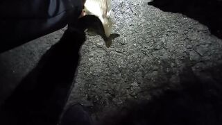 Алупка, ночная рыбалка на старых местах с сюрпризом