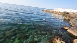 Алупка, ночная рыбалка на старых местах с сюрпризом