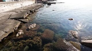 Алупка, ночная рыбалка на старых местах с сюрпризом