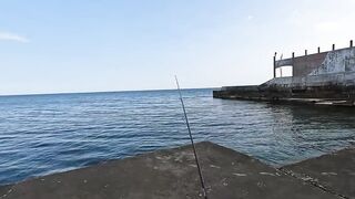 Алупка, ночная рыбалка на старых местах с сюрпризом