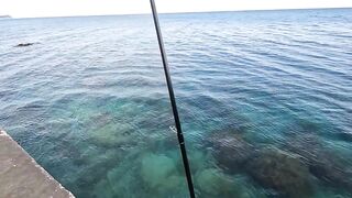 Алупка, ночная рыбалка на старых местах с сюрпризом