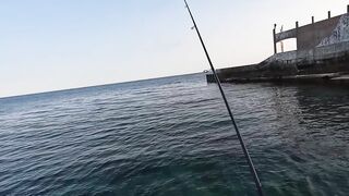 Алупка, ночная рыбалка на старых местах с сюрпризом