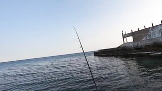 Алупка, ночная рыбалка на старых местах с сюрпризом