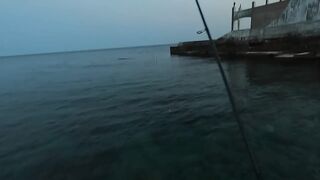 Алупка, ночная рыбалка на старых местах с сюрпризом