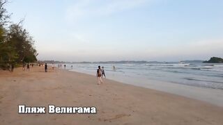 Велигама - серф-столица Шри-Ланки. Музей масок и черепашья ферма. ЛучшеРазУвидеть.