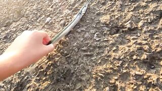 Ливадия, ловля саргана на пилькер и новый спиннинг