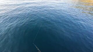 Ливадия, ловля саргана на пилькер и новый спиннинг