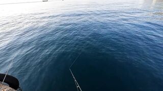 Ливадия, ловля саргана на пилькер и новый спиннинг