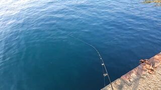 Ливадия, ловля саргана на пилькер и новый спиннинг