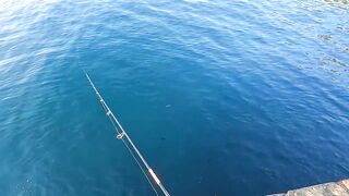 Ливадия, ловля саргана на пилькер и новый спиннинг