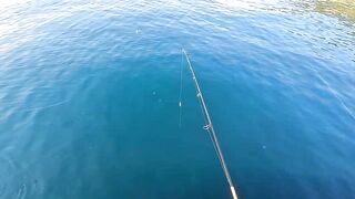 Ливадия, ловля саргана на пилькер и новый спиннинг