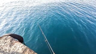 Ливадия, ловля саргана на пилькер и новый спиннинг