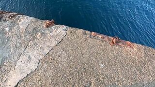 Ливадия, ловля саргана на пилькер и новый спиннинг