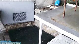 Мисхор утро рыбалка и копчёная рыбка у берега